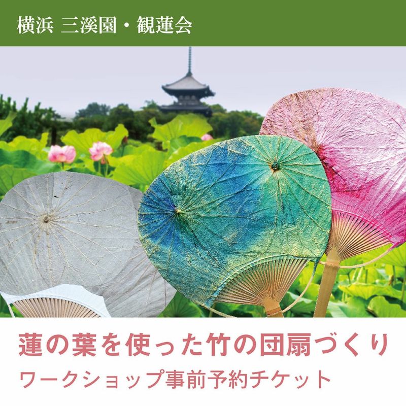 Yokohama Sankeien Garden Lotus Viewing Event [Making bamboo fans using lotus leaves]