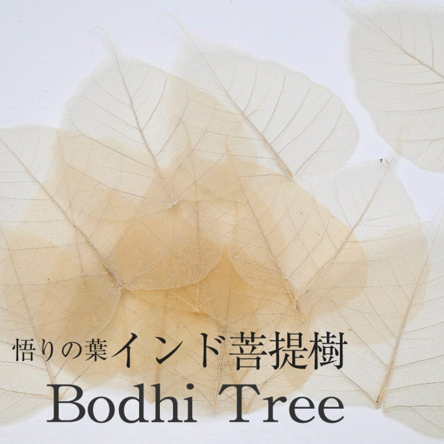 未使用品】 ボタニーペインティング通信講座 全4回セット 未使用品】 ボタニーペインティング通信講座 全4回セット